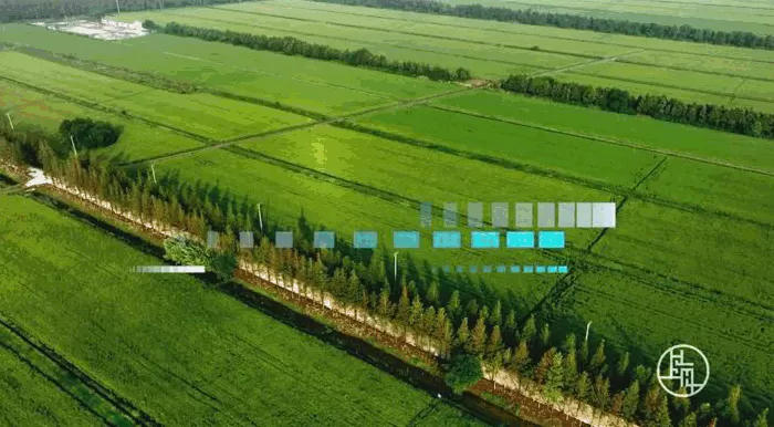 第八届进博会上海城市形象片《上海·动能之城》发布-第8张图片-