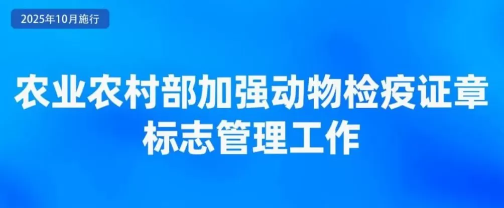 10月起，一批新规将施行-第8张图片-