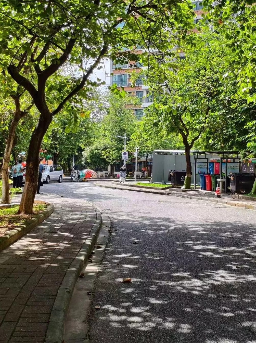 华南理工校园车祸引深思：校园限速多少，如何惩戒违章-第1张图片-
