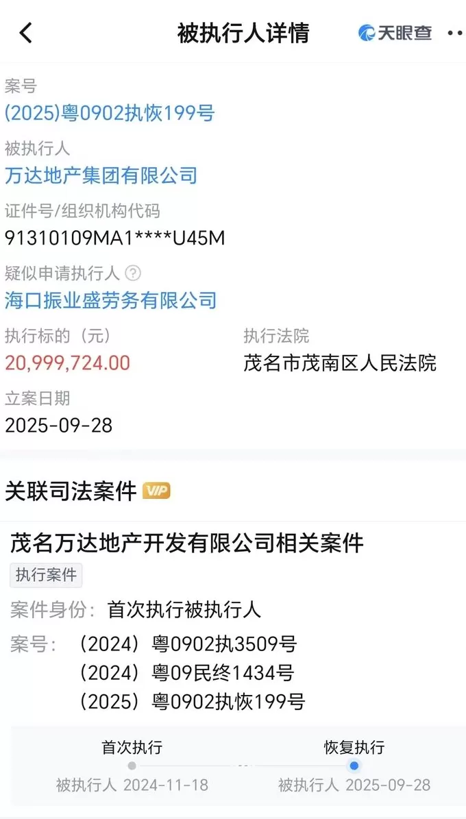万达地产等被恢复执行2099万，限制消费令高达128条-第1张图片-