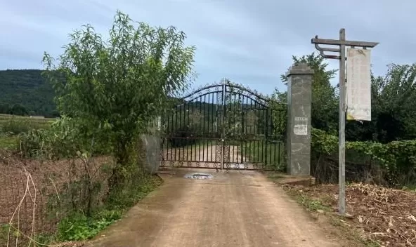 主播“折翼”飞行梦谁来系载人低空飞行安全带-第2张图片-