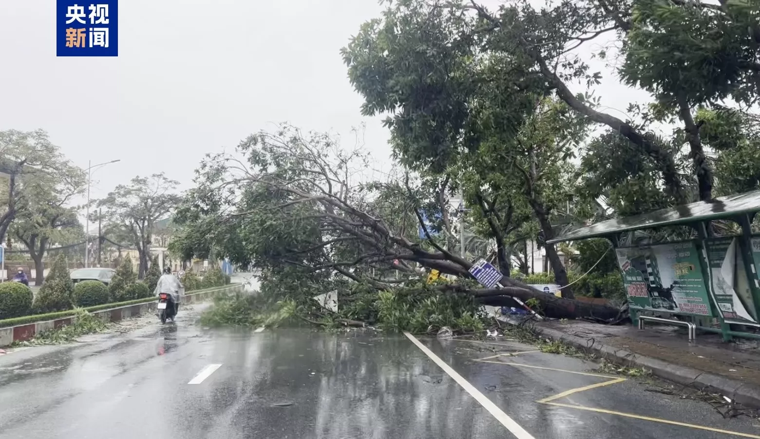 台风“博罗依”登陆越南后已造成19人死亡、21人失踪-第1张图片-