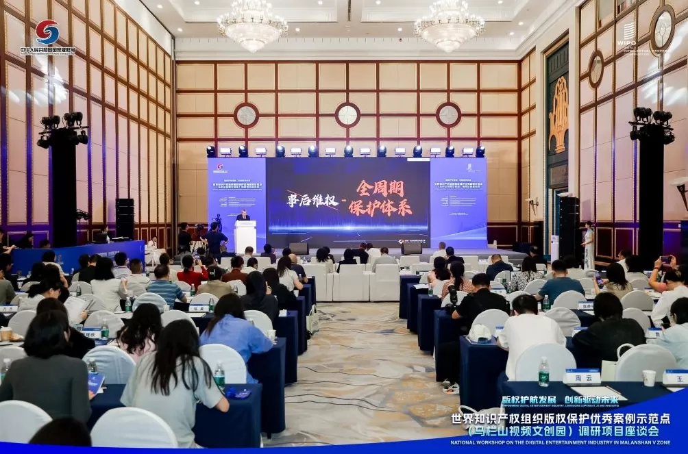 世界知识产权组织版权保护优秀案例示范点（马栏山视频文创园）项目座谈会在长沙举行-第1张图片-