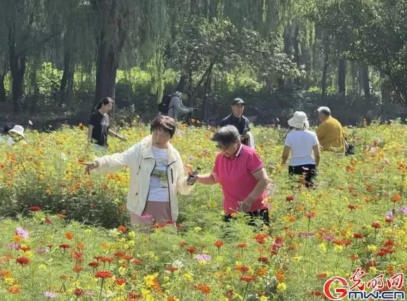 何以中国·理想都城｜数字化技术再现圆明园昔日辉煌盛景-第4张图片-