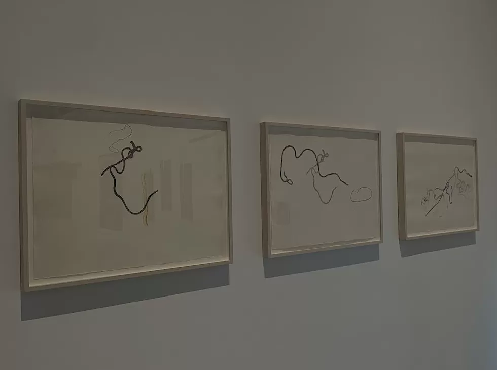 什么是“激浪派”，它跟中国有什么关系？听策展人讲-第8张图片-