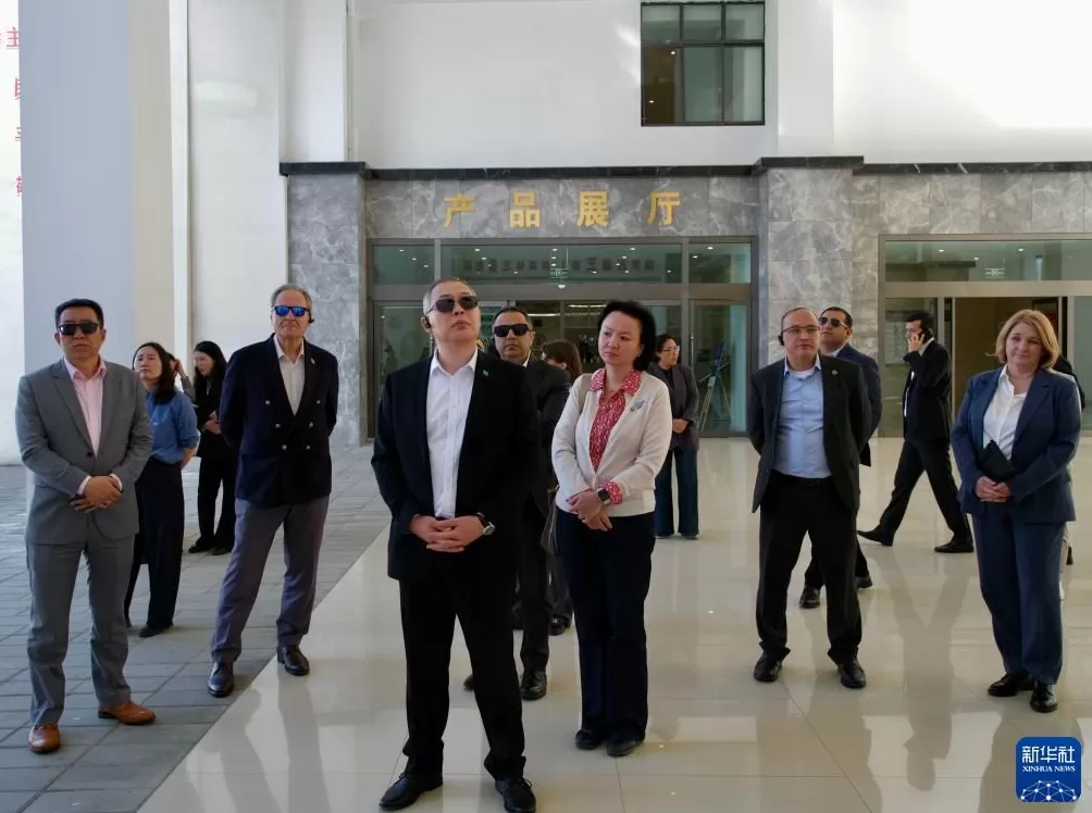 新华鲜报｜欧亚国家驻华使节西藏行见证发展新气象-第2张图片-
