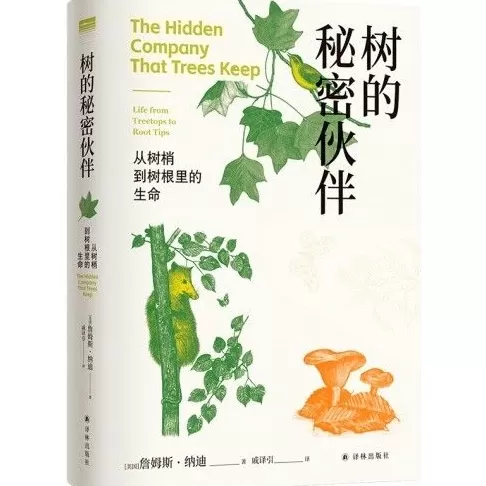 一棵树一个世界，这本书解密树木 “朋友圈” 的生存智慧-第2张图片-
