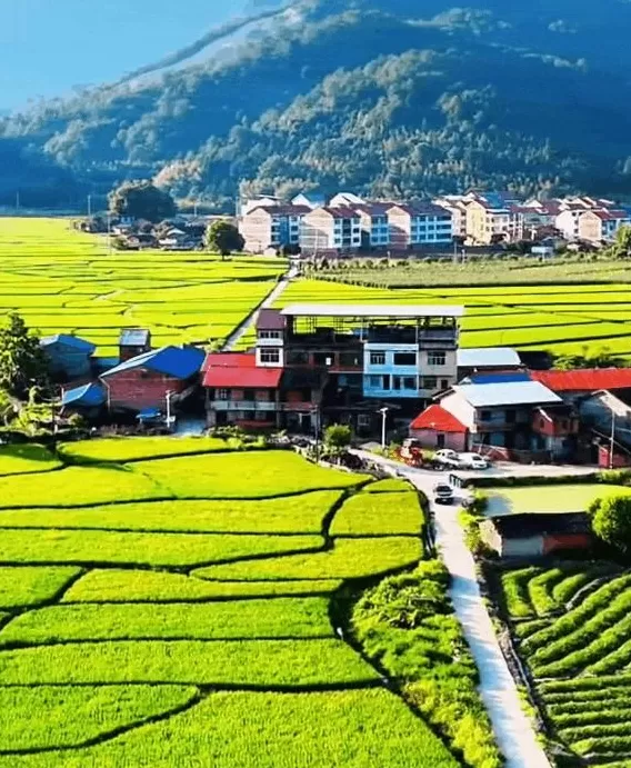 今年十一最大赢家：去农村-第10张图片-