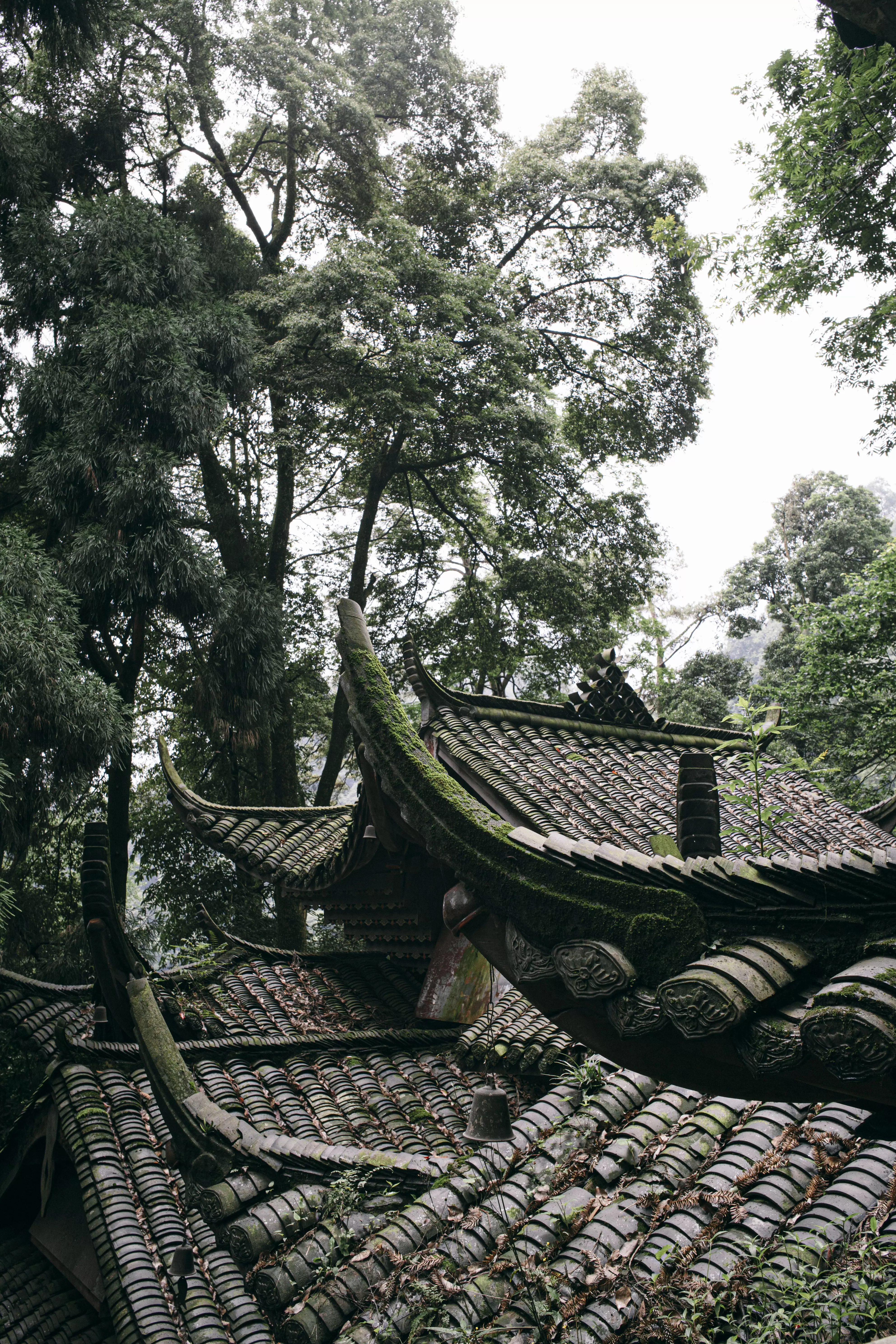 寻隐之旅：在不见隐士的年代，我们为何仍在寻找？｜“不基础”旅行-第2张图片-