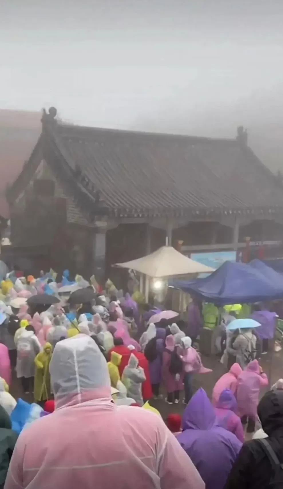 大量游客在知名景区突遭降雨大风，连厕所都挤满过夜的人！“山顶宾馆99元坐席可过夜”冲上热搜-第3张图片-
