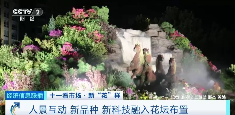 必打卡景点！记者探访今年天安门广场巨型花篮有啥新花样-第7张图片-