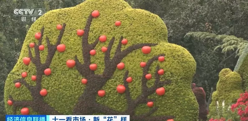 必打卡景点！记者探访今年天安门广场巨型花篮有啥新花样-第10张图片-