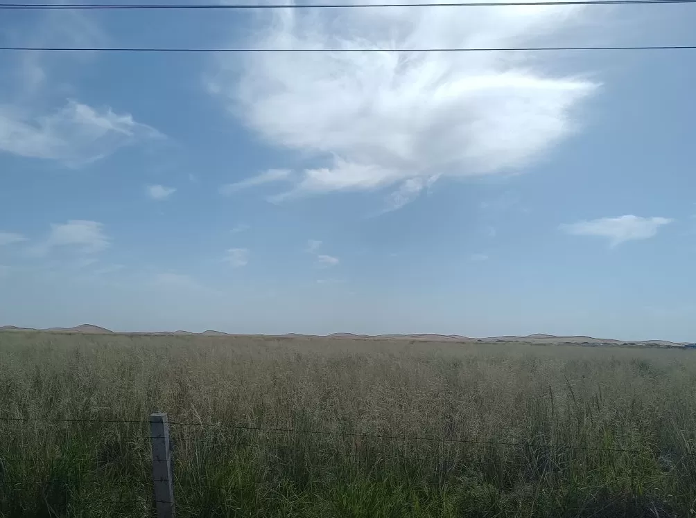 理水龙荒︱草湖:绿洲社会的生命底色-第2张图片- 理水龙荒︱草湖:绿洲社会的生命底色-第2张图片-