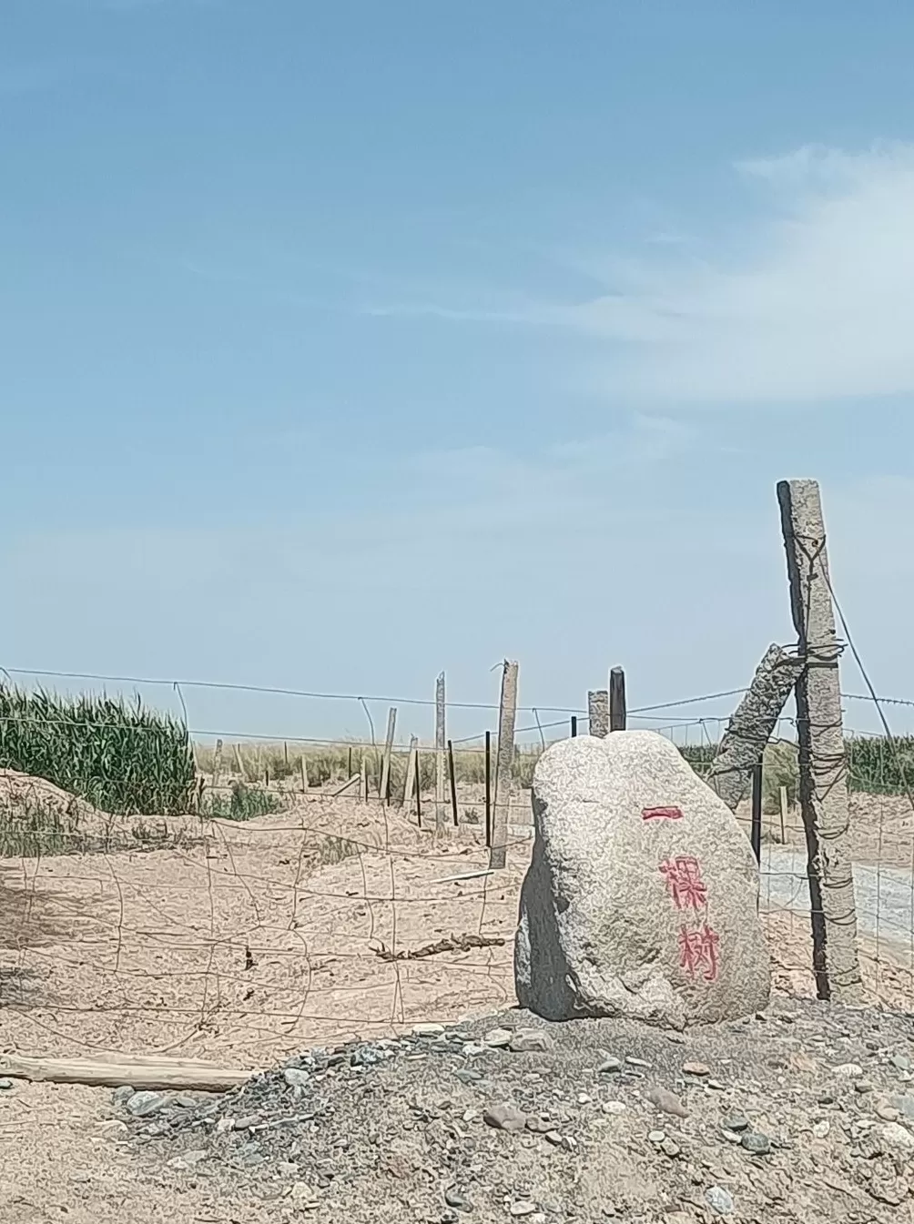 理水龙荒︱草湖:绿洲社会的生命底色-第1张图片- 理水龙荒︱草湖:绿洲社会的生命底色-第1张图片-