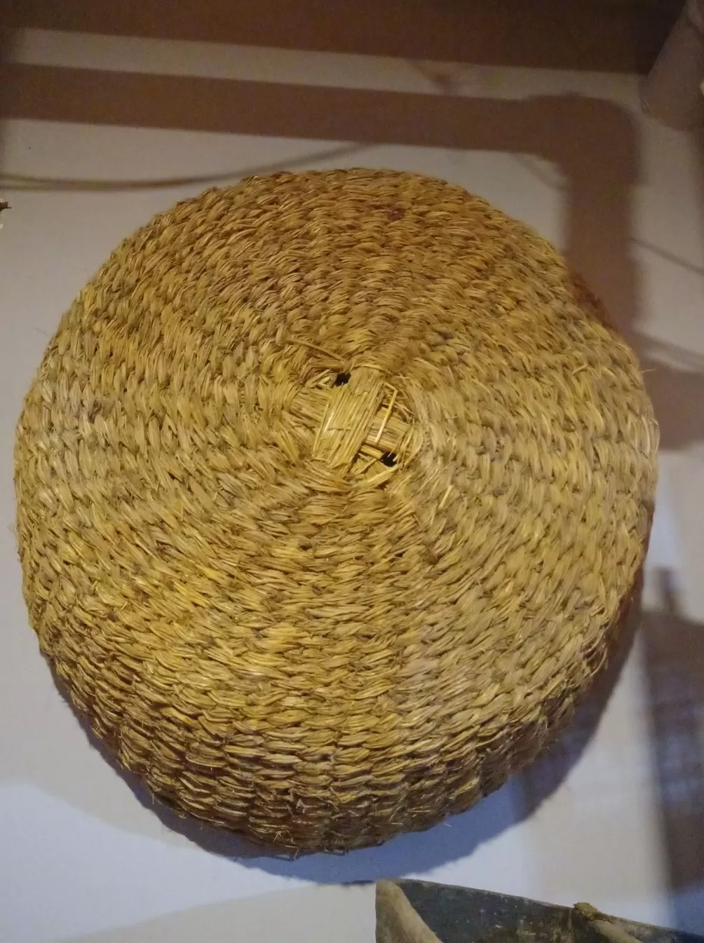 理水龙荒︱草湖:绿洲社会的生命底色-第4张图片- 理水龙荒︱草湖:绿洲社会的生命底色-第4张图片-