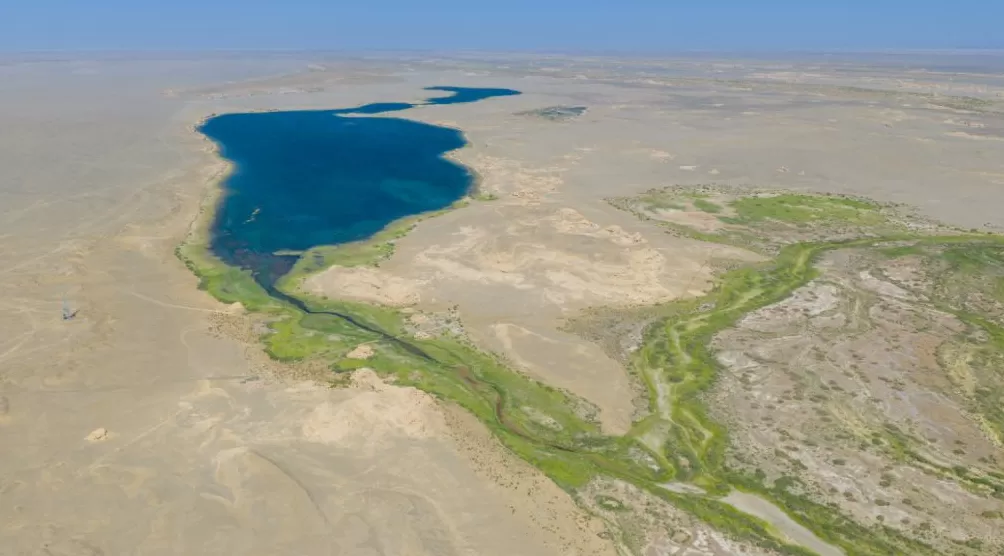 理水龙荒︱草湖:绿洲社会的生命底色-第3张图片- 理水龙荒︱草湖:绿洲社会的生命底色-第3张图片-