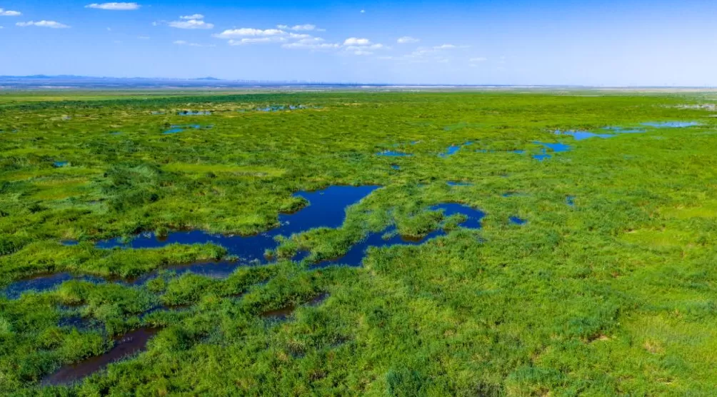 理水龙荒︱草湖:绿洲社会的生命底色-第6张图片- 理水龙荒︱草湖:绿洲社会的生命底色-第6张图片-