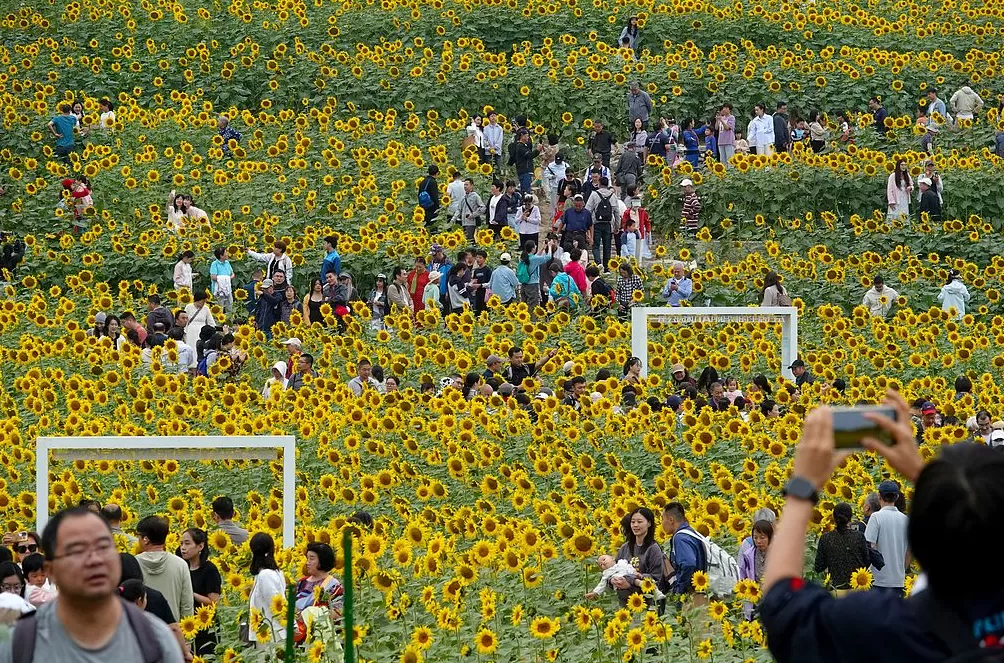 国庆中秋假期过半:多个景区游客趋于饱和,首批“抢跑”游客已返程-第1张图片- 国庆中秋假期过半:多个景区游客趋于饱和,首批“抢跑”游客已返程-第1张图片-