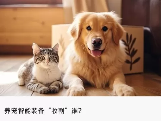 花上万元买台猫厕所，养宠智能装备成新的智商税？-第1张图片-