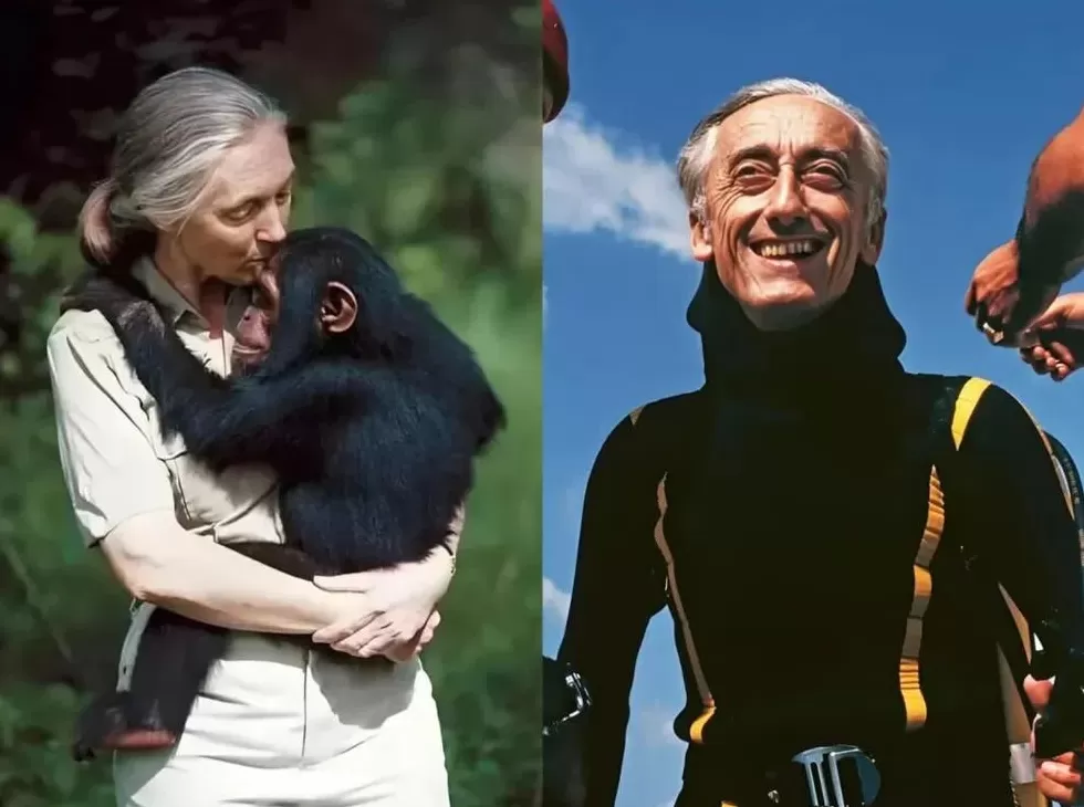 全球媒体都在下坡路,“铁饭碗”碎了一地-第2张图片- 全球媒体都在下坡路,“铁饭碗”碎了一地-第2张图片-