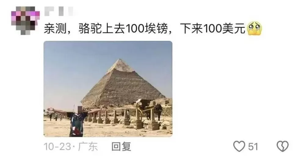 去埃及旅游，一天被骗八次-第3张图片-