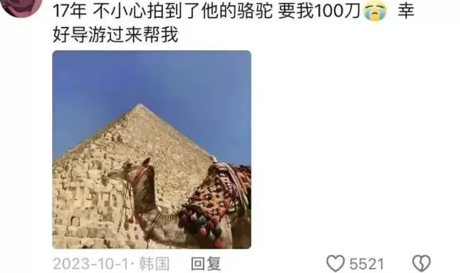 去埃及旅游，一天被骗八次-第18张图片-