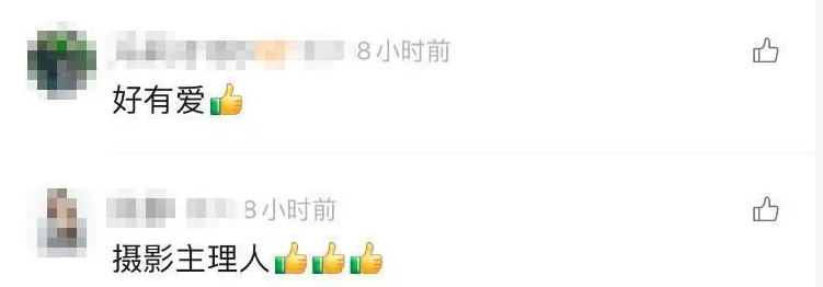 拍完你的拍你的……网友点赞假期最忙“拍照主理人”-第6张图片- 拍完你的拍你的……网友点赞假期最忙“拍照主理人”-第6张图片-