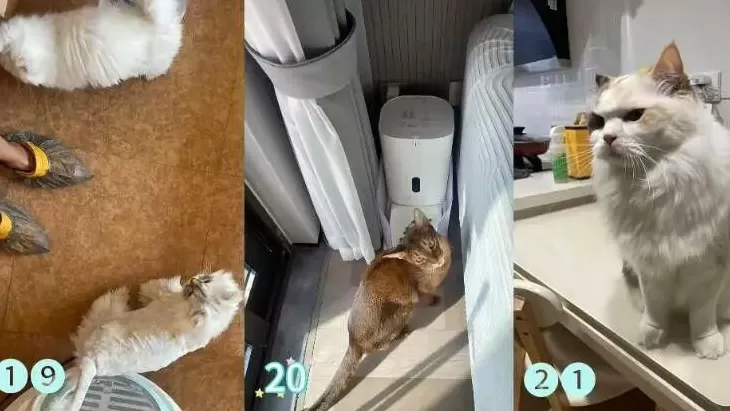 需求激增!男子长假连接270单,其中一笔收费8100元-第3张图片- 需求激增!男子长假连接270单,其中一笔收费8100元-第3张图片-