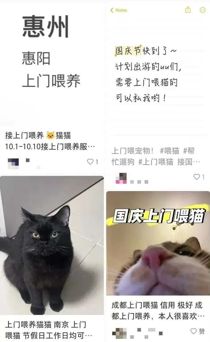 需求激增!男子长假连接270单,其中一笔收费8100元-第1张图片- 需求激增!男子长假连接270单,其中一笔收费8100元-第1张图片-