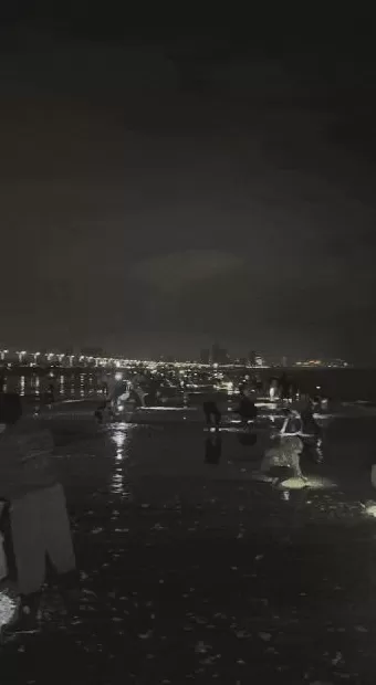 青岛这一海域,大量海鲜被冲上岸!有人赶海俩小时,捞了60多斤-第1张图片- 青岛这一海域,大量海鲜被冲上岸!有人赶海俩小时,捞了60多斤-第1张图片-