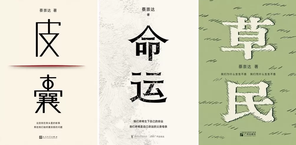 文学花边｜独家对话蔡崇达：《皮囊》还是样书时，韩寒刘德华就想改编电影了-第10张图片-