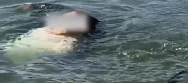 60岁值班经理为救落水父子不幸溺亡,还有23天就退休了……-第1张图片- 60岁值班经理为救落水父子不幸溺亡,还有23天就退休了……-第1张图片-