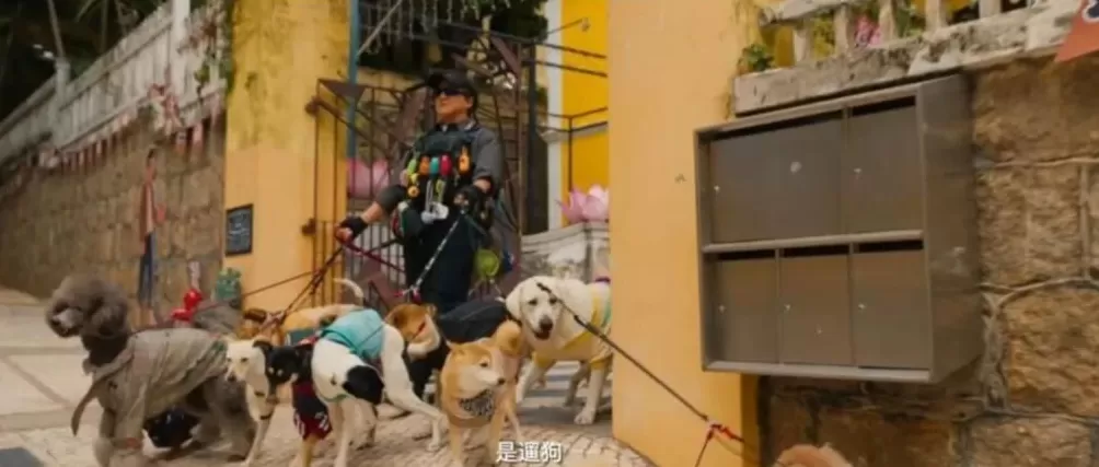 这些电影打卡地太出片-第22张图片-