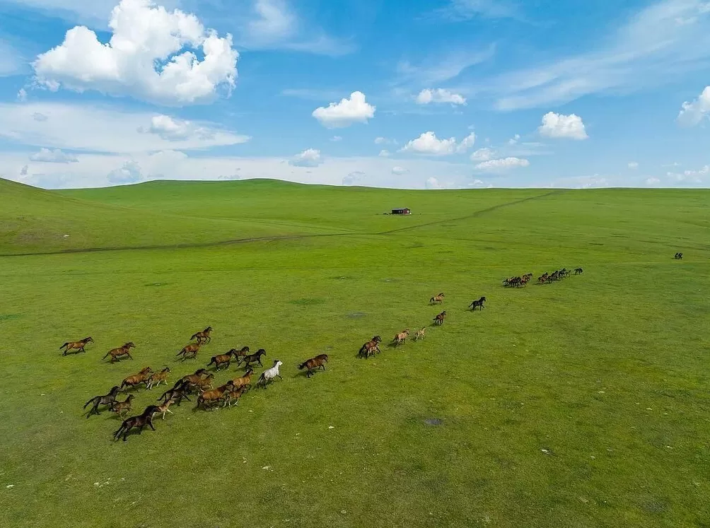 这些电影打卡地太出片-第43张图片-