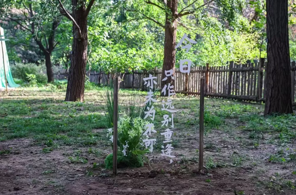 回归古典文化趣味，在曹雪芹的黄叶村沉浸式游园-第3张图片-