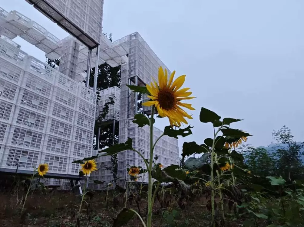 清华深度参与艺术乡建,京郊这座空心村变了-第10张图片- 清华深度参与艺术乡建,京郊这座空心村变了-第10张图片-