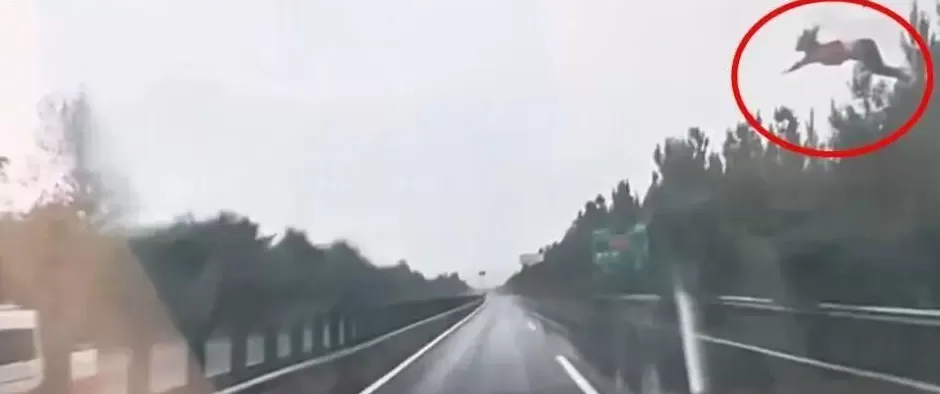 SUV高速上撞护栏翻滚，女子被甩到空中，疑因雨天打滑-第3张图片-