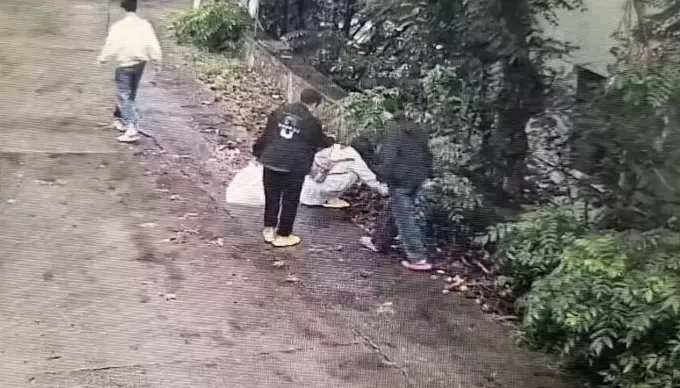 游客在连云港一景区“捡板栗壳”被指盗窃？景区：系商户个人行为，已协商处理-第2张图片-
