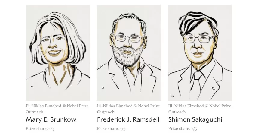 2025诺贝尔生理学或医学奖揭晓：三位科学家因发现免疫系统“维和部队”获奖-第1张图片-