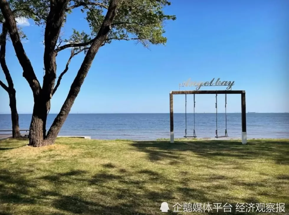 秦皇岛港蝶变-第5张图片-