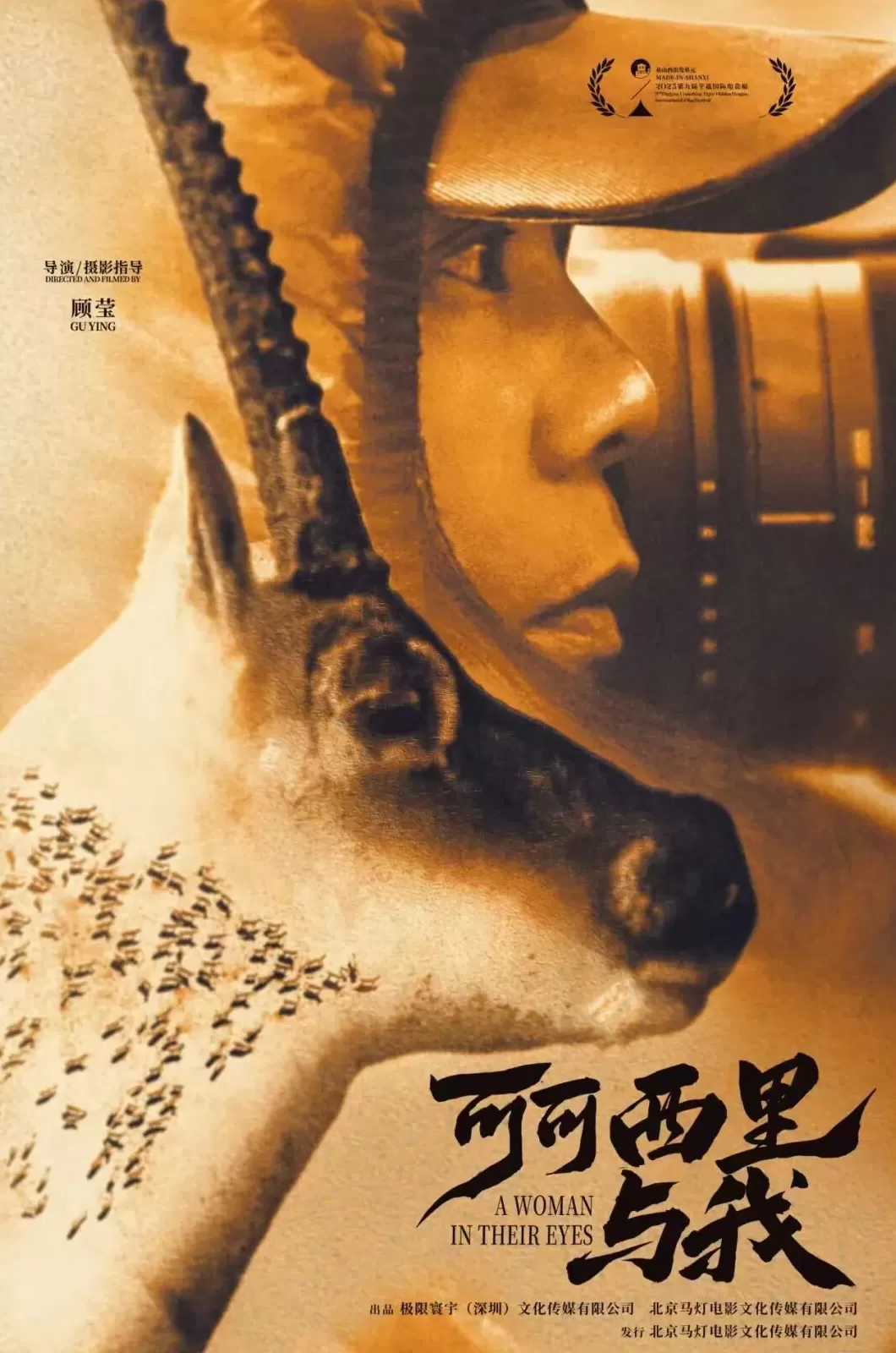 退役“鸟人”拍摄可可西里:让中国的荒原故事被世界看见-第7张图片- 退役“鸟人”拍摄可可西里:让中国的荒原故事被世界看见-第7张图片-