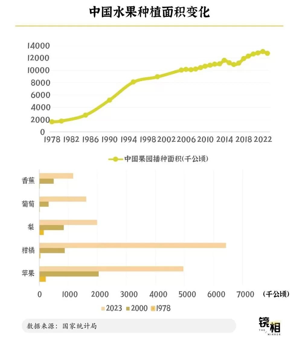 成为“水果第一大国”，中国用了60年-第7张图片-