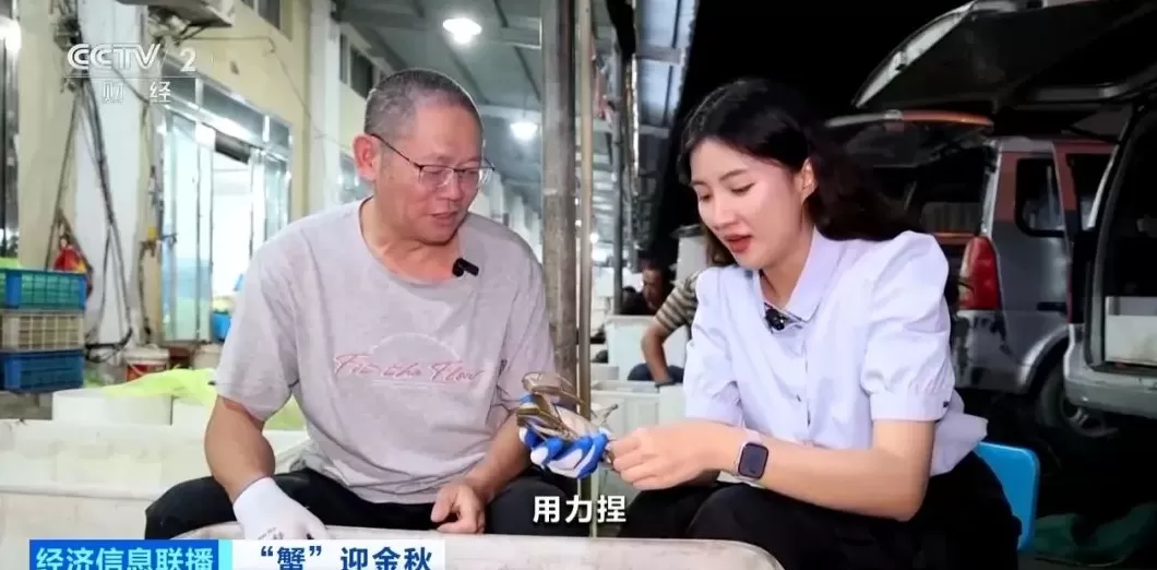 平均月收入约2万元！“挑蟹师”职业近期缺口大-第2张图片-