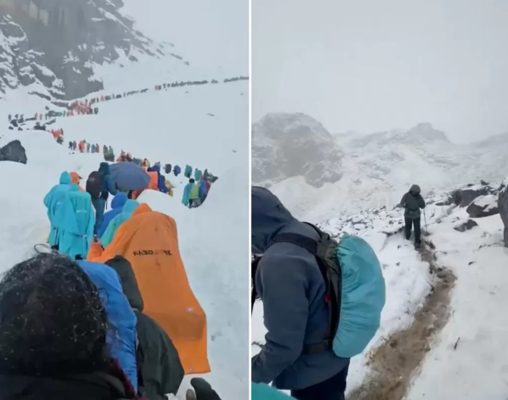 珠峰暴雪中，向导一人一狗带上百人撤离，本人回应-第1张图片-