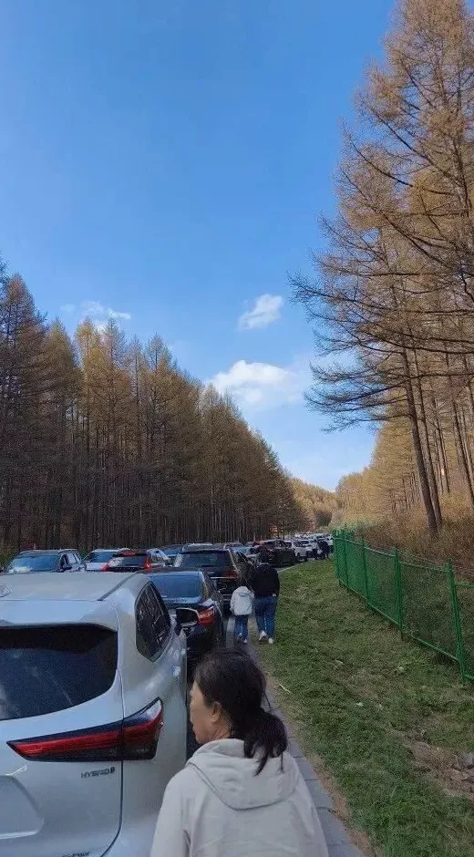国庆节，逆行者堵死了通往景区的路-第5张图片-