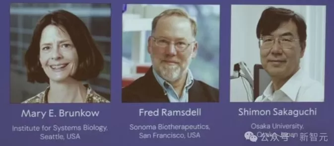 2025年诺贝尔生理学或医学奖揭晓！三位得主点燃器官移植希望-第3张图片-