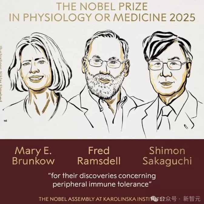 2025年诺贝尔生理学或医学奖揭晓！三位得主点燃器官移植希望-第5张图片-