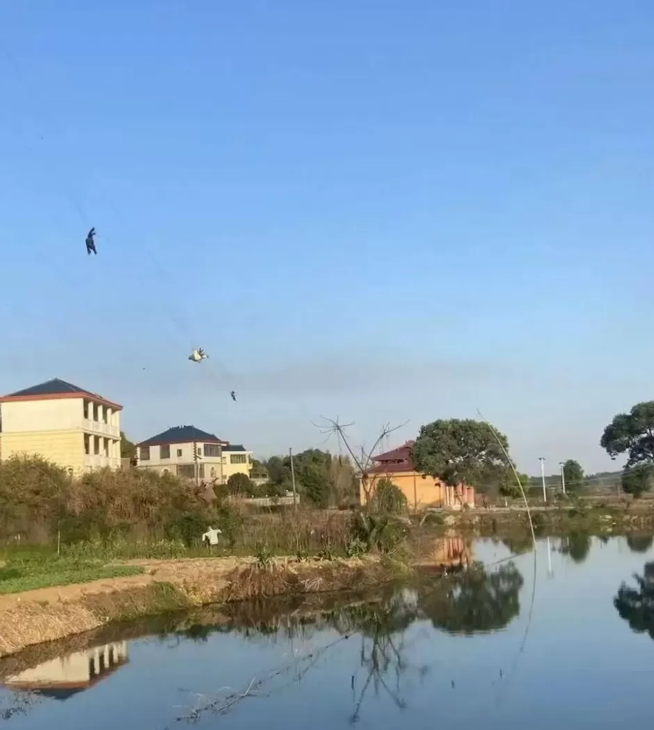 回村当全职孙女,我的人生完蛋了?-第6张图片- 回村当全职孙女,我的人生完蛋了?-第6张图片-