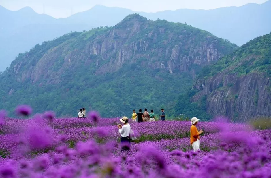 串起两个“世界级城市群”，这条高铁有多重要？-第4张图片-