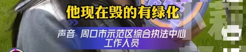 1楼业主占2000平绿地惹怒其他业主，物业：业主称买房时销售说带院-第4张图片-